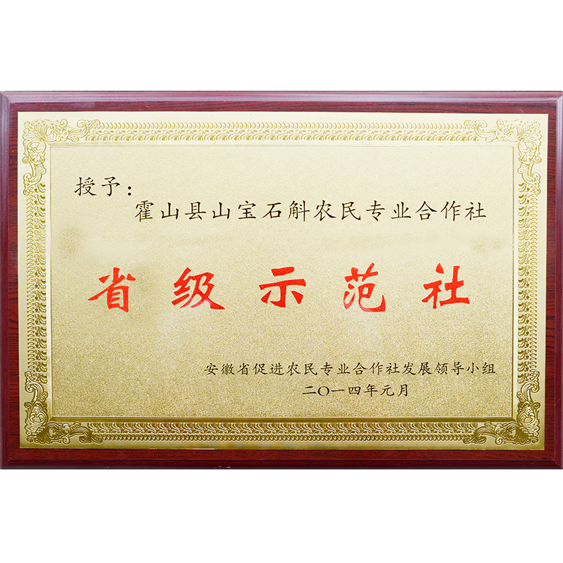 榮譽資質(zhì)